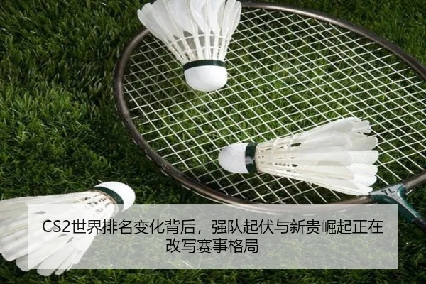 img_1782460070431_700_0_641.jpg | dianjing